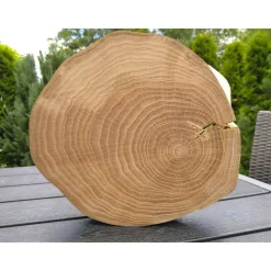 Baumscheibe, Holzscheibe, gestockt, Ulme, Bastelholz, Holz