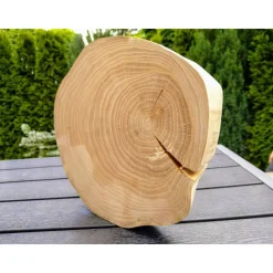 Baumscheibe, Holzscheibe, gestockt, Ulme, Bastelholz, Holz