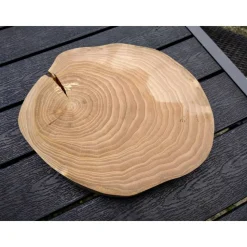 Baumscheibe, Holzscheibe, gestockt, Ulme, Bastelholz, Holz