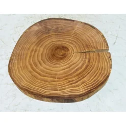 Baumscheibe, Holzscheibe, gestockt, Ulme, Bastelholz, Holz