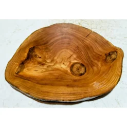 Baumscheibe, Holzscheibe, gestockt, Ulme, Bastelholz, Holz