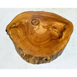 Baumscheibe, Holzscheibe, gestockt, Ulme, Bastelholz, Holz