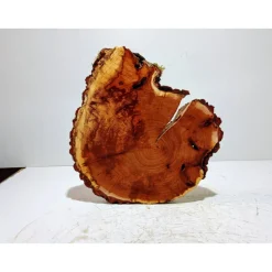 Baumscheibe, Holzscheibe, gestockt, Pappel,Holz, Bastelholz, Holzdeko, Dekoration,Holz