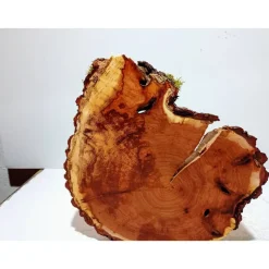 Baumscheibe, Holzscheibe, gestockt, Pappel,Holz, Bastelholz, Holzdeko, Dekoration,Holz