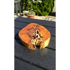 Baumscheibe, Holzscheibe, gestockt, Erle, Holz, Bastelholz, Holzdeko, Dekoration,Holz