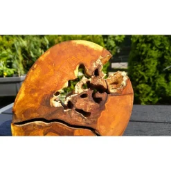 Baumscheibe, Holzscheibe, gestockt, Erle, Holz, Bastelholz, Holzdeko, Dekoration,Holz