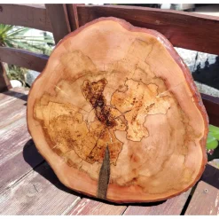 Baumscheibe, Tisch-Platte, TablettBaumscheibe Holzscheibe Hochzeitdeko,Dekoration, Tischdeko, Unikat