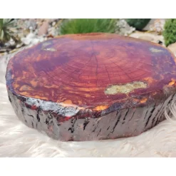 Baumscheibe, Tisch-Platte, TablettBaumscheibe Holzscheibe Hochzeitdeko,Dekoration, Tischdeko, Unikat