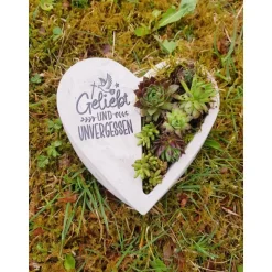Bepflanztes Herz aus Beton mit Schriftzug Grabschmuck Trauer Grabgesteck Grabherz Personalisierbar