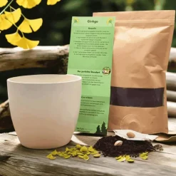 Besonderes Geschenk - Blumentopf graviert - Sternzeichen Wassermann