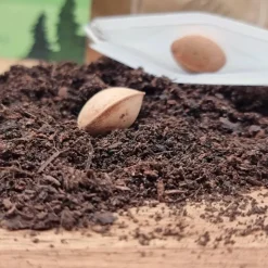 Besonderes Geschenk - Blumentopf graviert - Frohes Neues