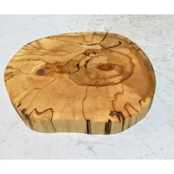 Biete hier eine Baumscheibe, Holzscheibe, gestockt,Birke