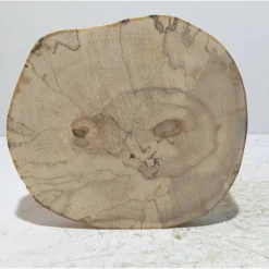 Biete hier eine Baumscheibe, Holzscheibe, gestockt,Birke