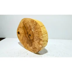 Biete hier eine Baumscheibe, Holzscheibe, gestockt,Birke