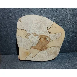 Biete hier eine Baumscheibe, Holzscheibe gestockte Birke an