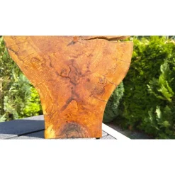 Biete hier eine Baumscheibe, Holzscheibe, gestockt, Erle, mit Stellfläche an