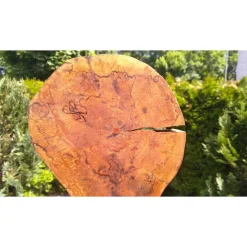 Biete hier eine Baumscheibe, Holzscheibe, gestockt, Erle, mit Stellfläche an