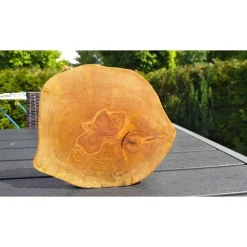 Biete hier eine Baumscheibe, Holzscheibe, gestockt,Birke