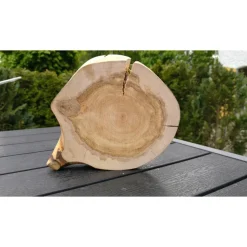 Biete hier eine Baumscheibe, Holzscheibe gestockte Traubenkirsche an