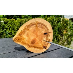 Biete hier eine Baumscheibe, Holzscheibe gestockte Traubenkirsche an