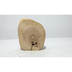 Biete hier eine Baumscheibe, Holzscheibe, gestockt, Kirsche, mit Stellfläche an