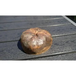 Biete hier eine Baumscheibe, überwachsenen Fichtenbaumstumpf, Fichte