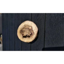 Biete hier eine Baumscheibe, überwachsenen Fichtenbaumstumpf, Fichte