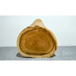 Biete hier eine Baumscheibe, Holzscheibe gestockte Traubenkirsche an