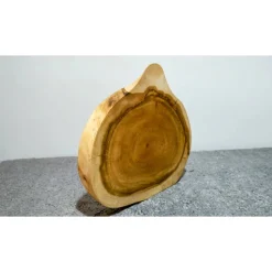 Biete hier eine Baumscheibe, Holzscheibe gestockte Traubenkirsche an