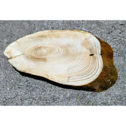 Biete hier eine Baumscheibe, Wurzelholz, Fichte