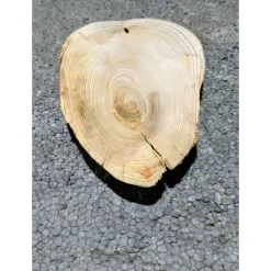 Biete hier eine Baumscheibe, Wurzelholz, Fichte