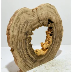 Biete hier eine Baumscheibe, Holzscheibe, gestockt, Robinie, mit Stellfläche an