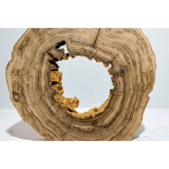 Biete hier eine Baumscheibe, Holzscheibe, gestockt, Robinie, mit Stellfläche an