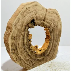 Biete hier eine Baumscheibe, Holzscheibe, gestockt, Robinie, mit Stellfläche an