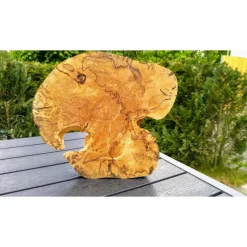 Biete hier eine Baumscheibe, Holzscheibe, gestockt,Birke