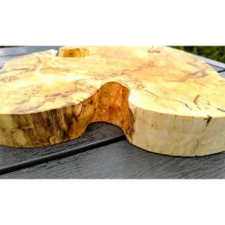 Biete hier eine Baumscheibe, Holzscheibe, gestockt,Birke