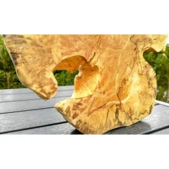 Biete hier eine Baumscheibe, Holzscheibe, gestockt,Birke