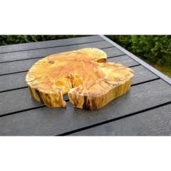 Biete hier eine Baumscheibe, Holzscheibe, gestockt,Birke