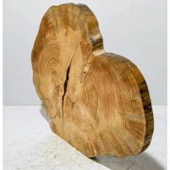 Biete hier eine Baumscheibe, Doppelbaumscheibe, gestockt, Fichte, mit Stellfläche an