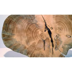 Biete hier eine Baumscheibe, Doppelbaumscheibe, gestockt, Fichte, mit Stellfläche an