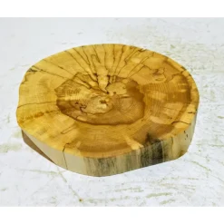 Biete hier eine Baumscheibe, Holzscheibe, gestockt,Birke