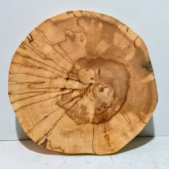 Biete hier eine Baumscheibe, Holzscheibe, gestockt,Birke