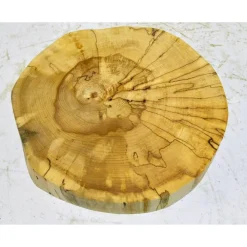 Biete hier eine Baumscheibe, Holzscheibe, gestockt,Birke