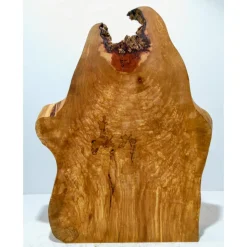 Biete hier eine große halbe Baumscheibe, Holzscheibe gestockte Birne an