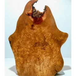 Biete hier eine große halbe Baumscheibe, Holzscheibe gestockte Birne an