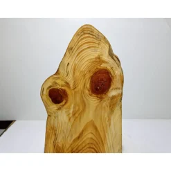 Biete hier eine halbe Baumscheibe, Holzscheibe gestockte Fichte an