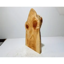 Biete hier eine halbe Baumscheibe, Holzscheibe gestockte Fichte an