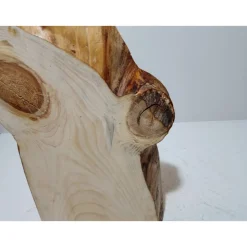 Biete hier eine halbe Baumscheibe, Holzscheibe gestockte Fichte an