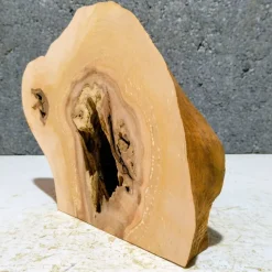 Biete hier eine halbe Baumscheibe, Holzscheibe gestockte Erle an
