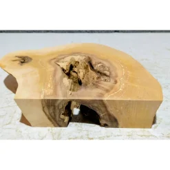 Biete hier eine halbe Baumscheibe, Holzscheibe gestockte Erle an